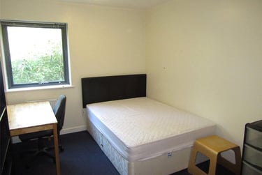 3 bed flat, Hoopern Mews, University of exeter, Exeter, EX44AW - Image 7